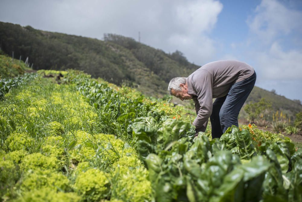 Agricultores Juan R.n Lorenzo y Francisco González