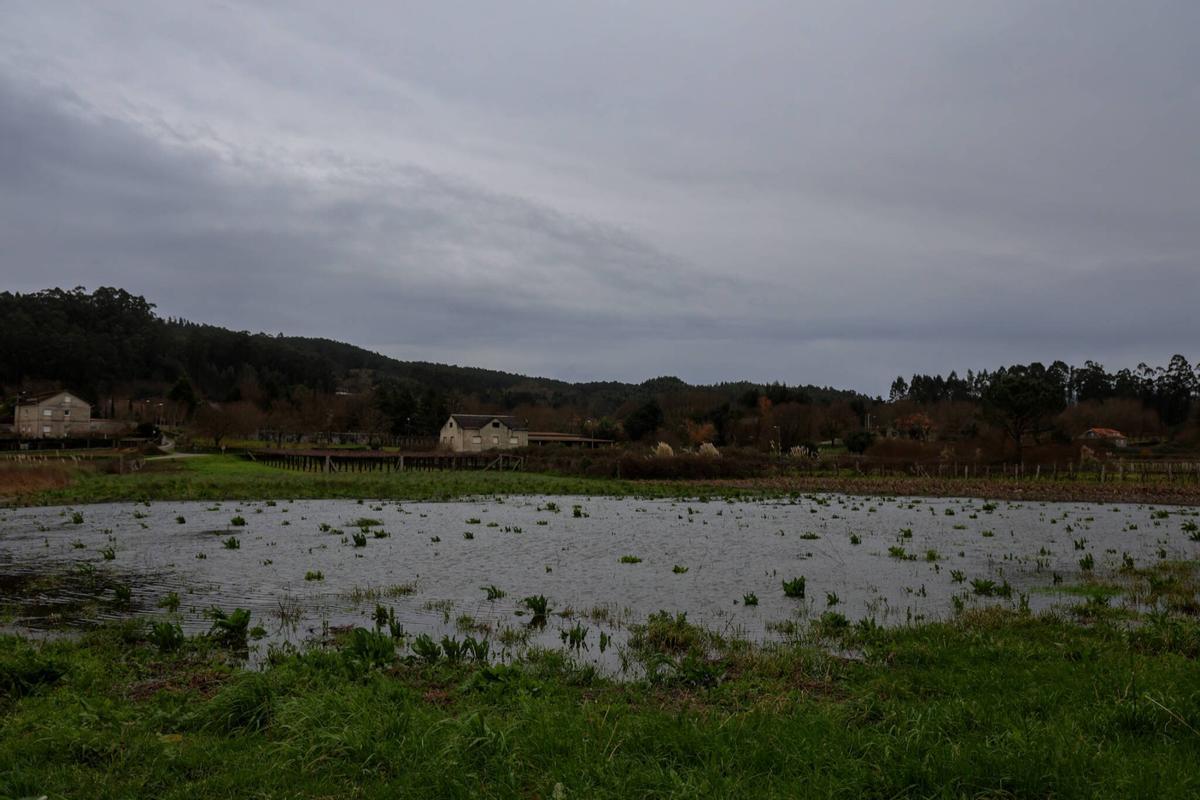 La huella de la borrasca Ingrid en la comarca.