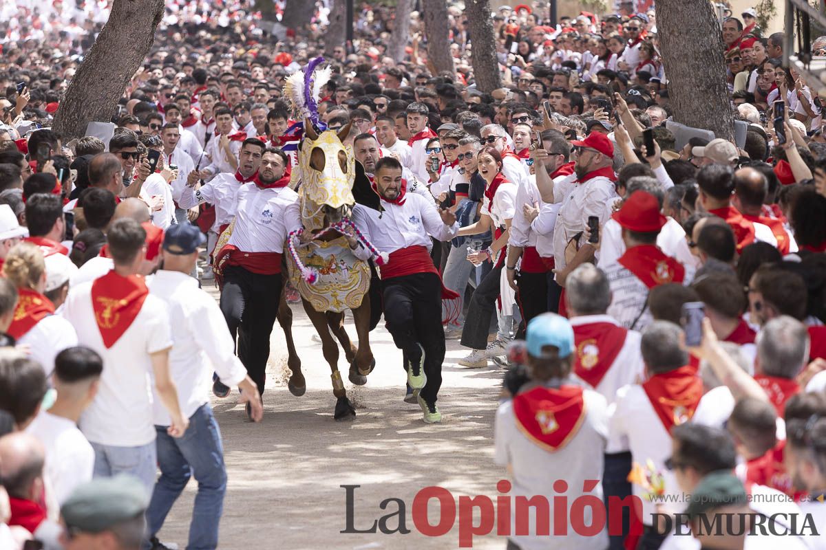 Así se ha vivido la carrera de Los Caballos del Vino en Caravaca