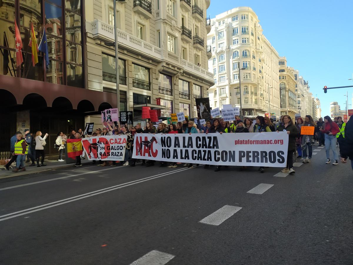 Manifestación en Madrid para pedir la inclusión de perros de caza en la ley.
