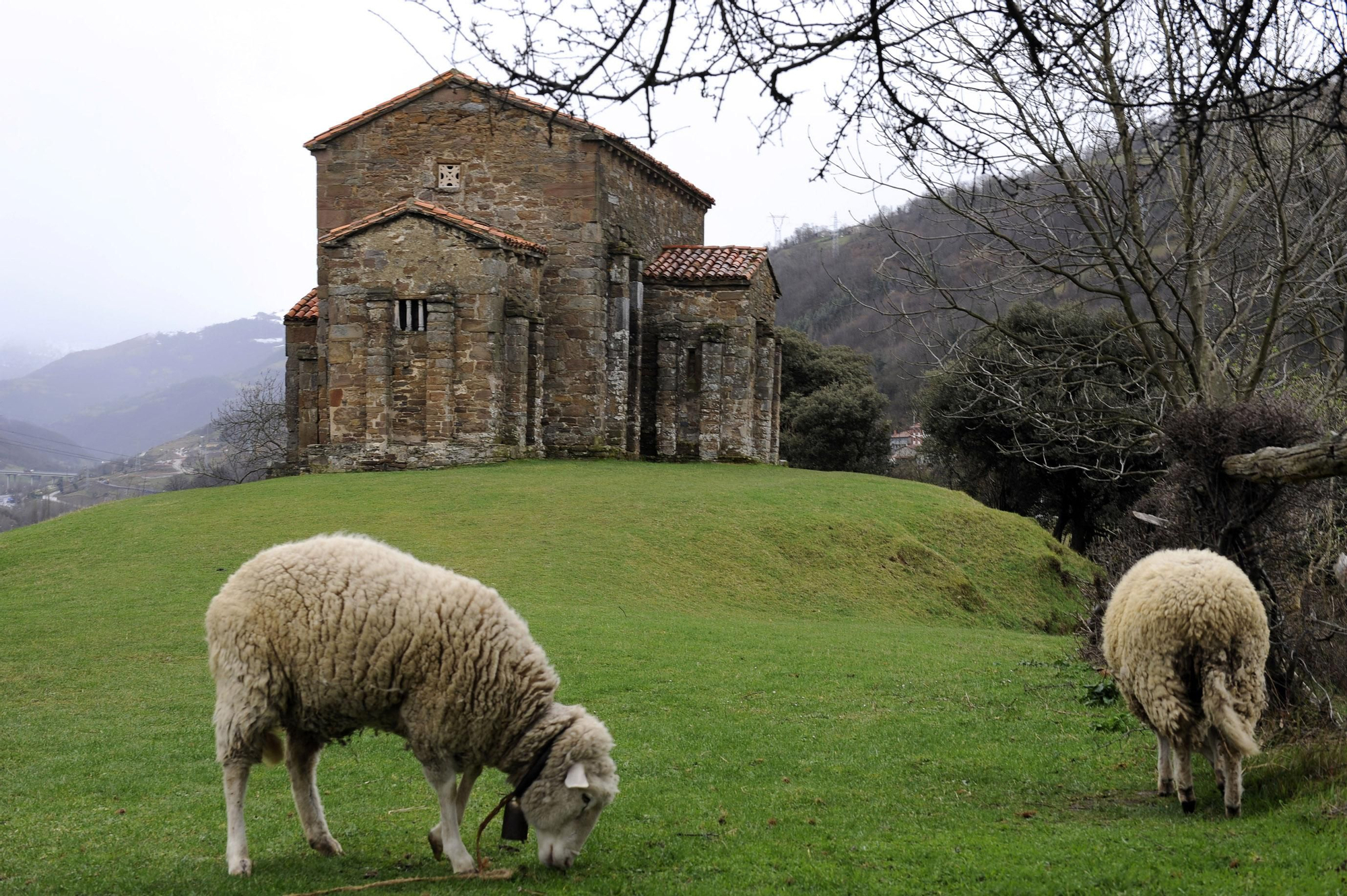 Santa Cristina de Lena