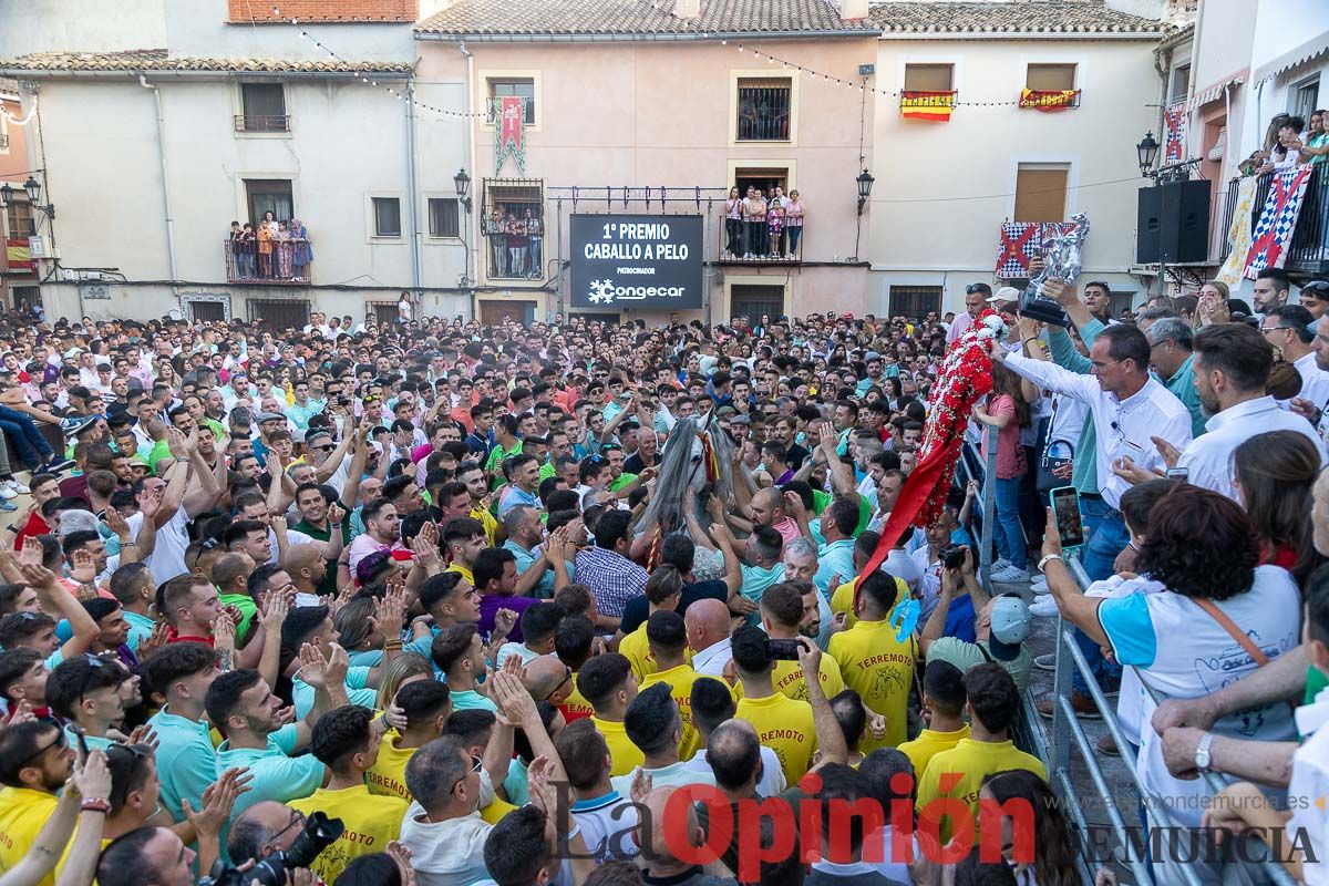 Entrega de premios del concurso morfológico de los Caballos del Vino de Caravaca