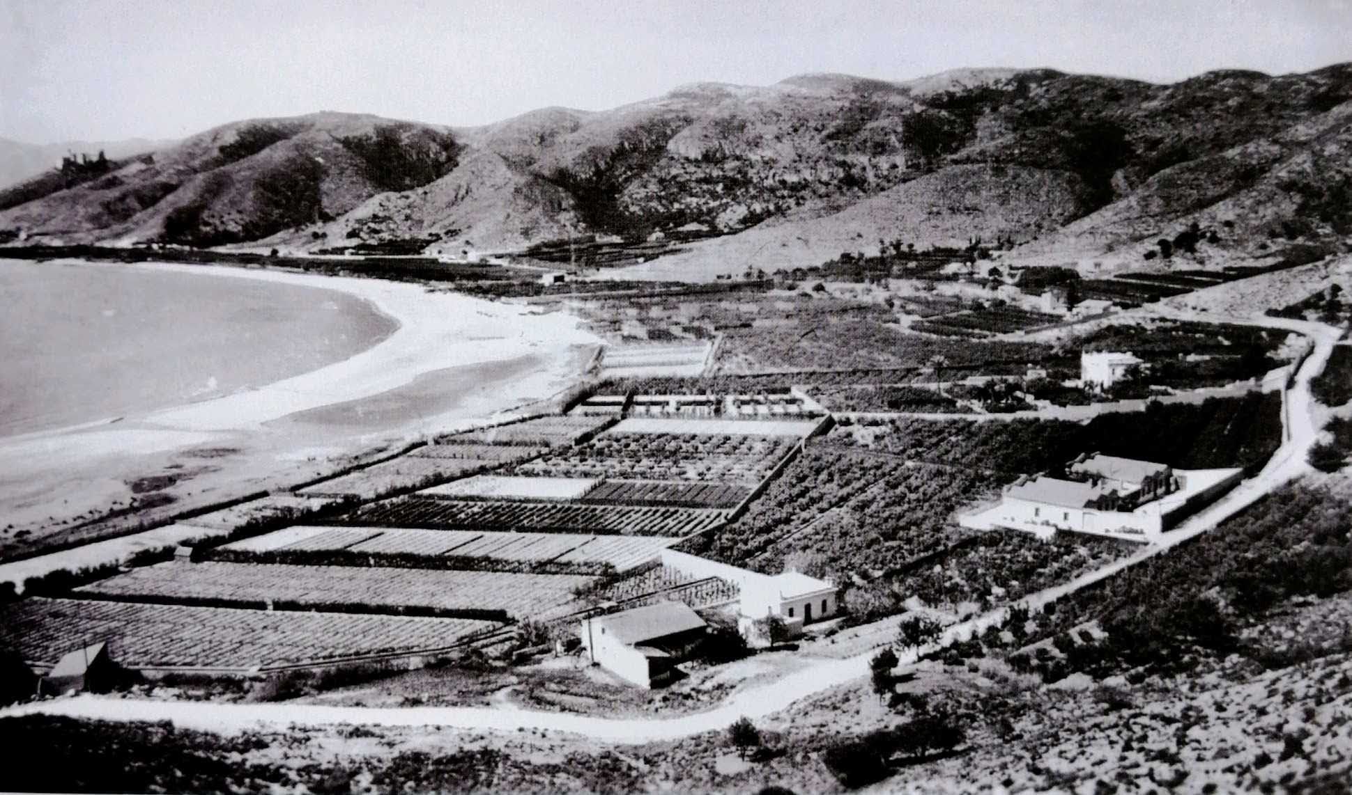 Estampa de una bahía idílica entregada a la agricultura.jpg