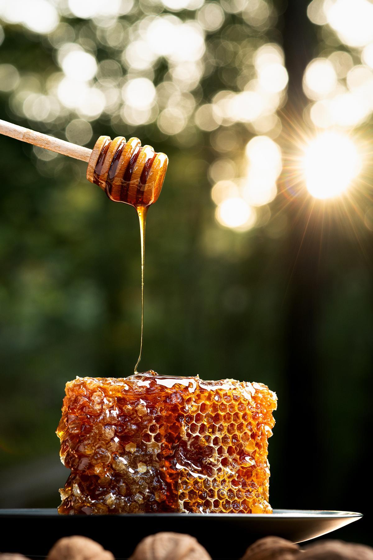 El elixir de los dioses.