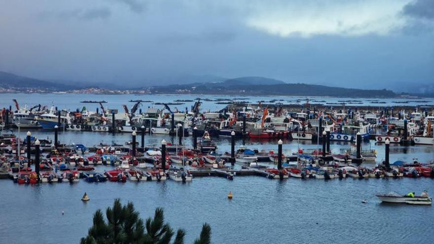 Flota de bajura y barcos bateeiros amarrados en la ría de Arousa. |   // M. MÉNDEZ