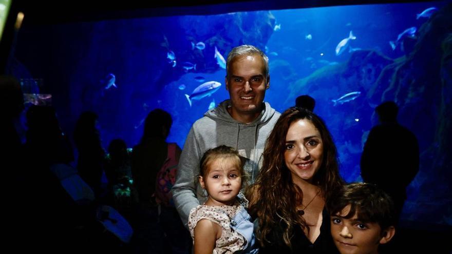 El Acuario de Gijón enamora a la multitud: "éxito" en la organización y largas colas para disfrutar del primer día de puertas abiertas de su historia