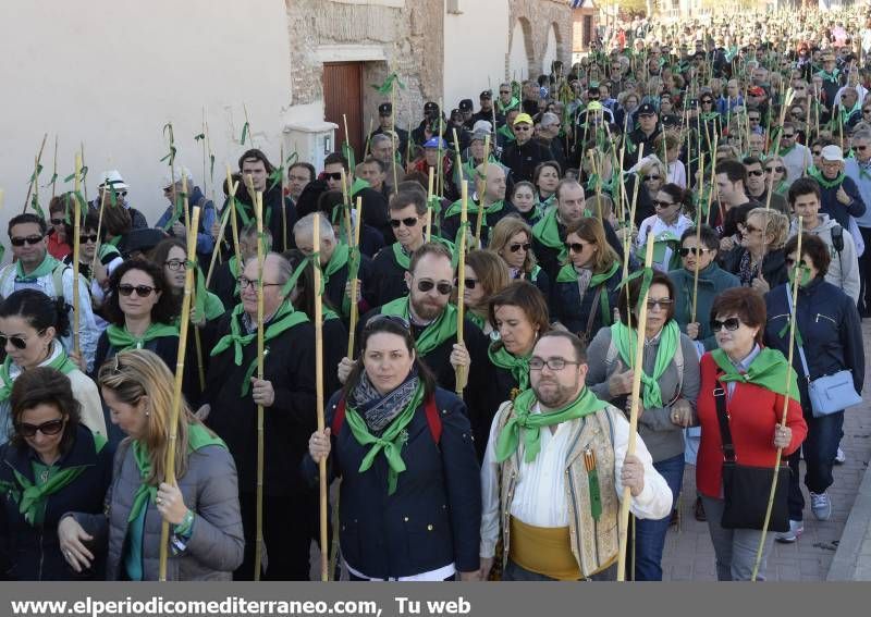 GALERÍA DE FOTOS - Romería Magdalena 2014 (5)