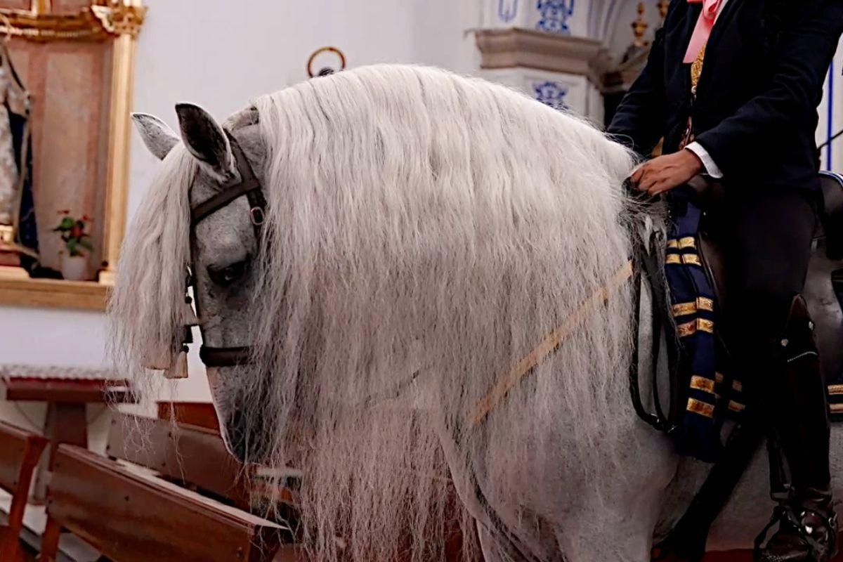 Tradición y nobleza en la feria de ganado de Dolores