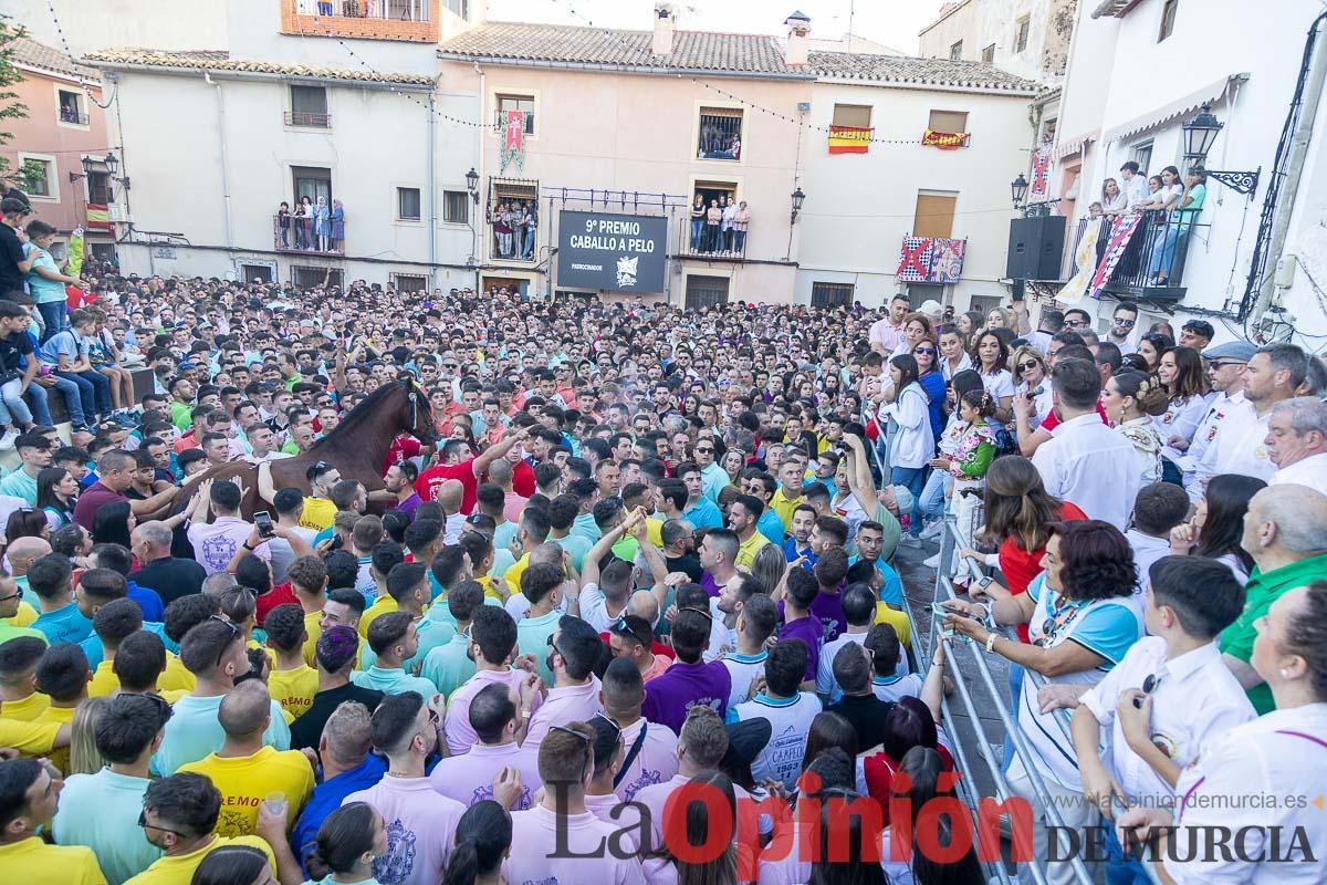 Entrega de premios del concurso morfológico de los Caballos del Vino de Caravaca