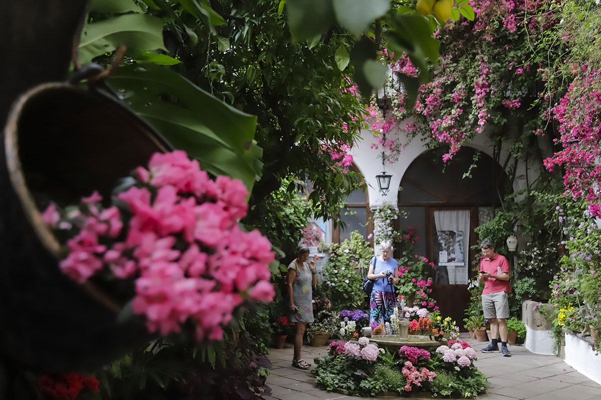 Patio La Palma 3