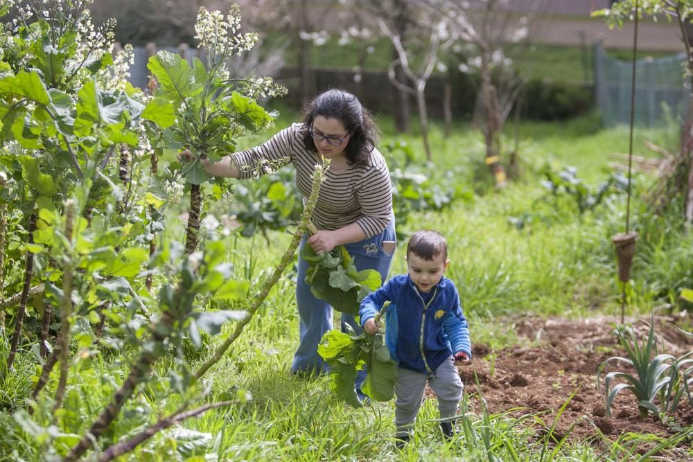 Actividades cotidianas continúan desarrollándose en el rural. // Bernabé / Ana Agra