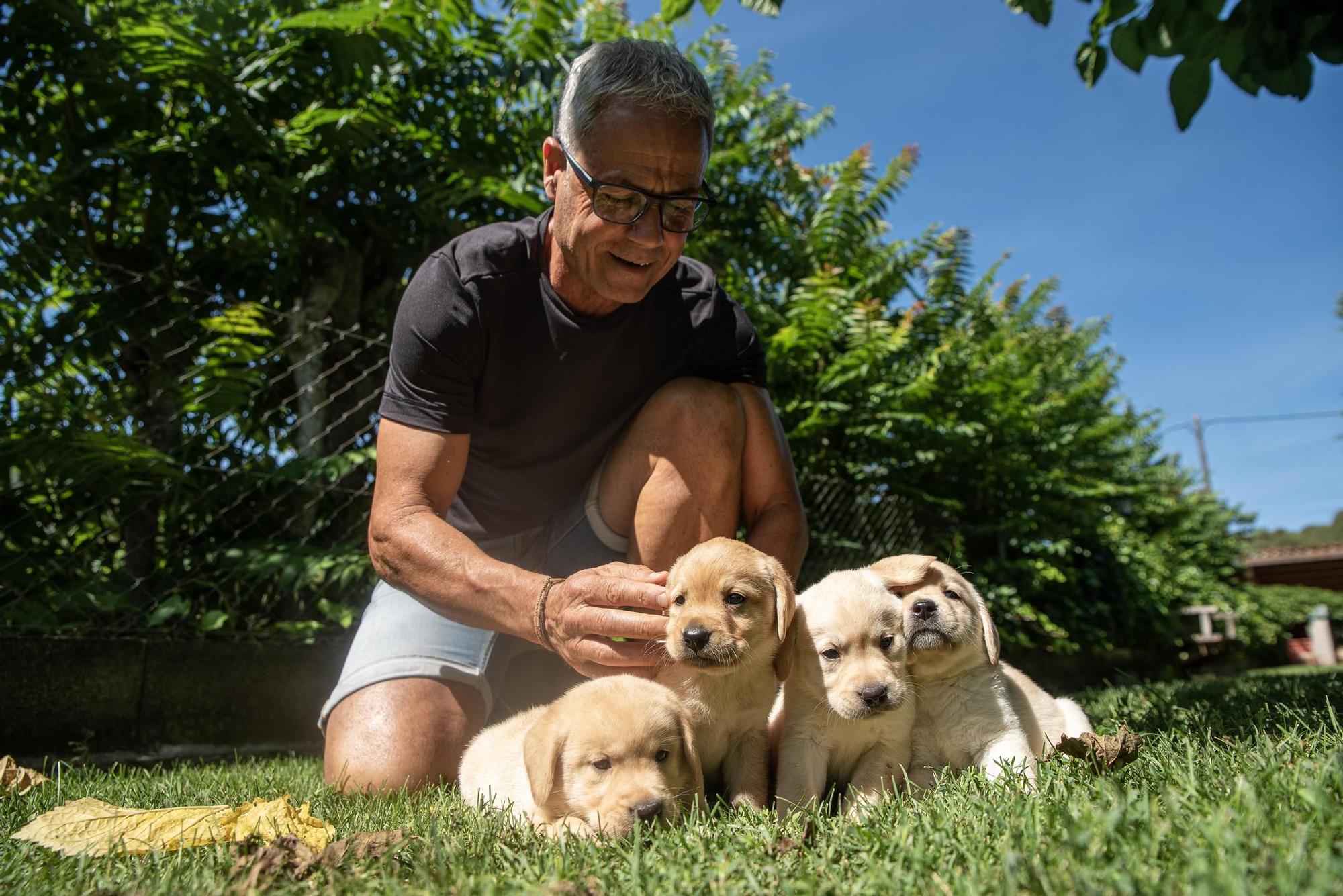 Residències canines: Goscan de Fonollosa