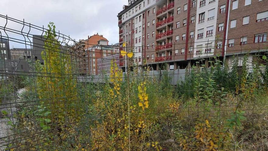 Mieres exige a Oteypsa que limpie la &quot;selva&quot; de la Mayacina