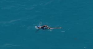 Imatges de Diana Nyad arribant a la costa de Florida després d’haver recorregut més de 166 quilòmetres durant 52 hores nedant. ATLAS NEWS