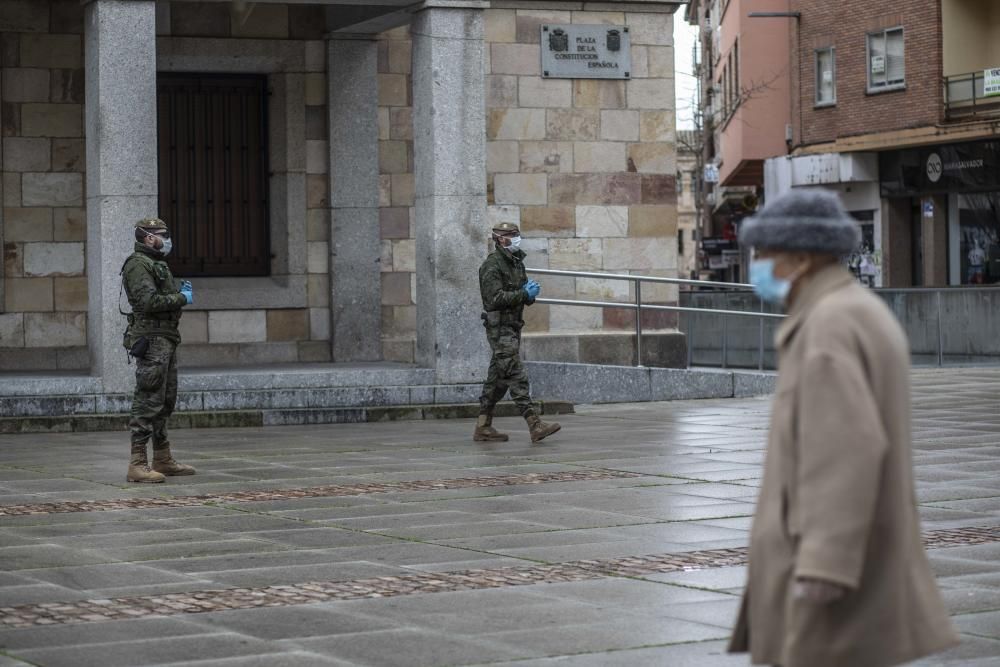 Las imágenes del Ejército de Tierra en Zamora