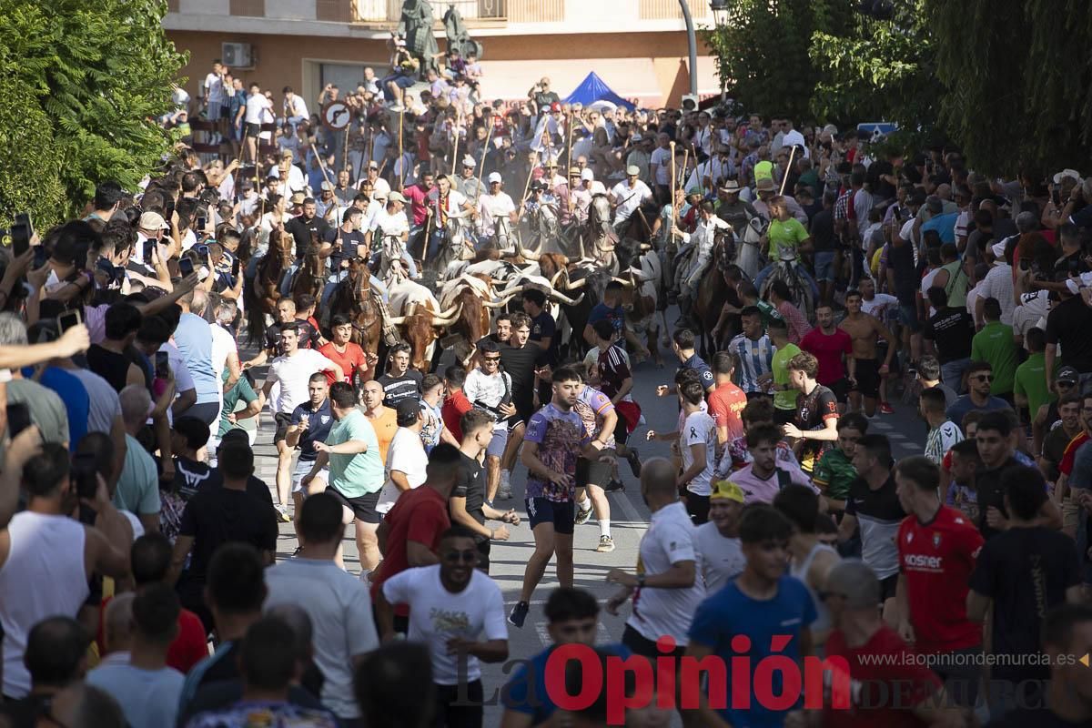 El segundo encierro de las Fiestas de Moratalla se salda con un herido