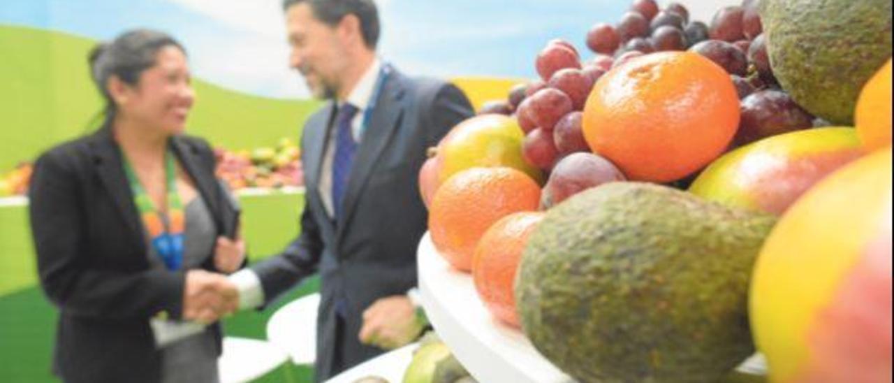 Fruit Logistica. El sector agroalimentari s´especialitza i cerca aliances