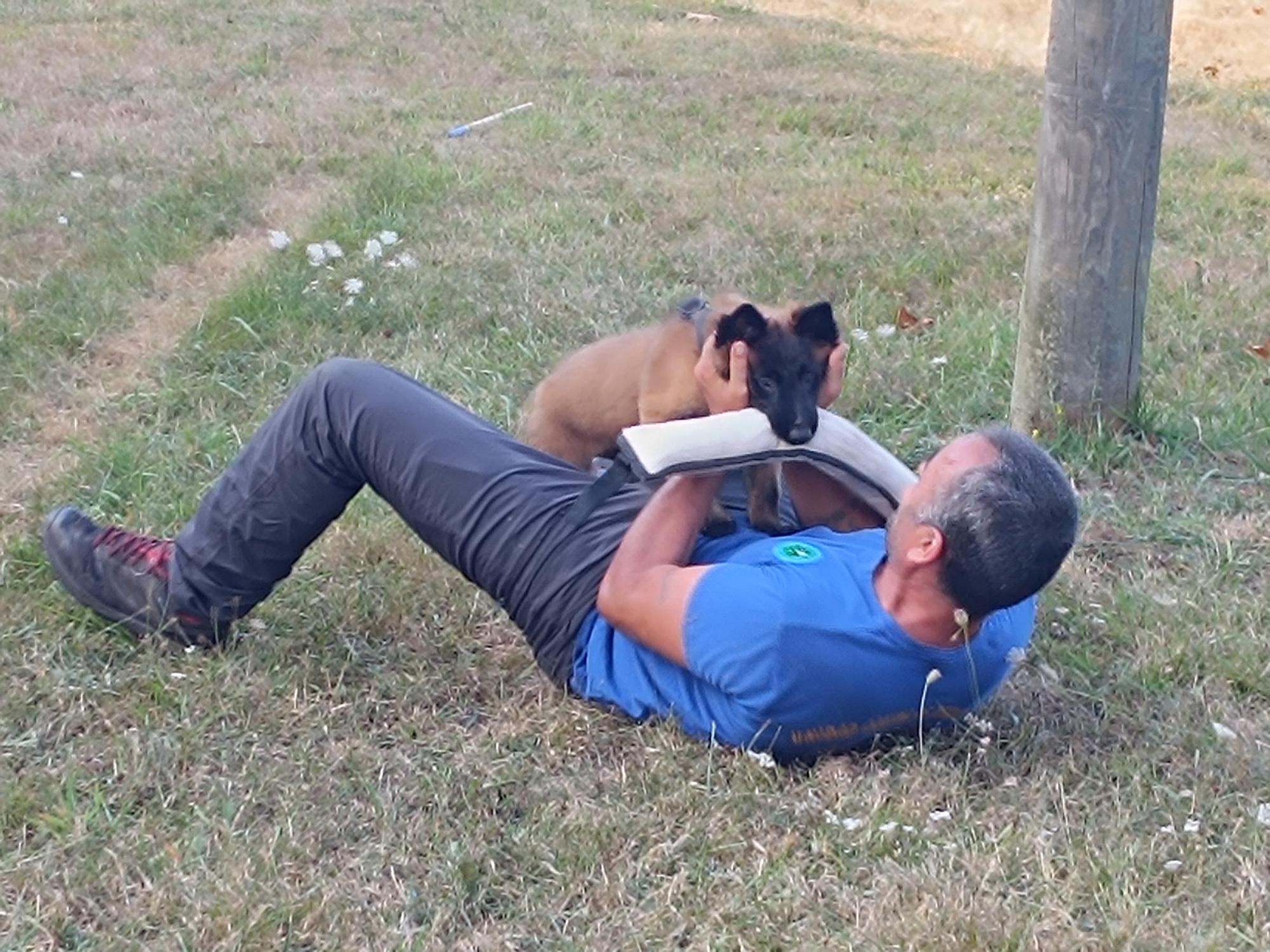 Así entrenan los nuevos integrantes de la Unidad Canina de Rescate del Principado