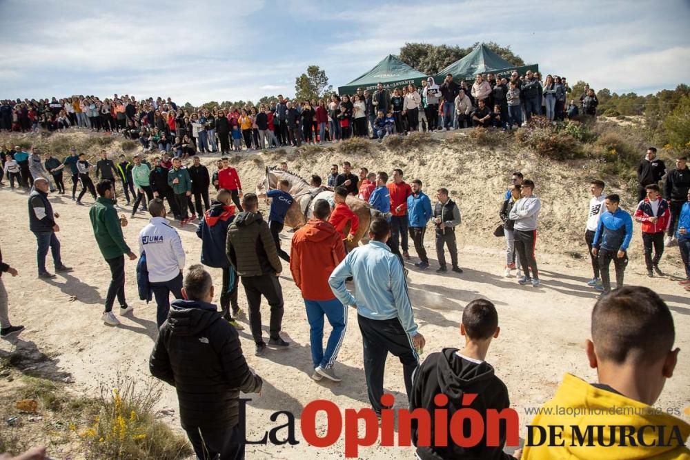 Carrera de entrenamiento de los Caballos del Vino