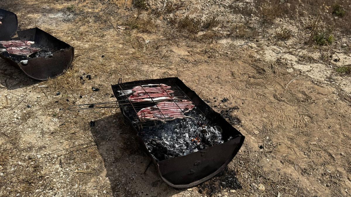 Mújol a la brasa.