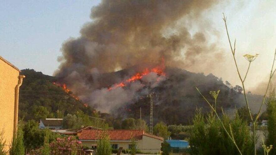 El fuego junto al Parque Natural del Turia. Vicente Nebot