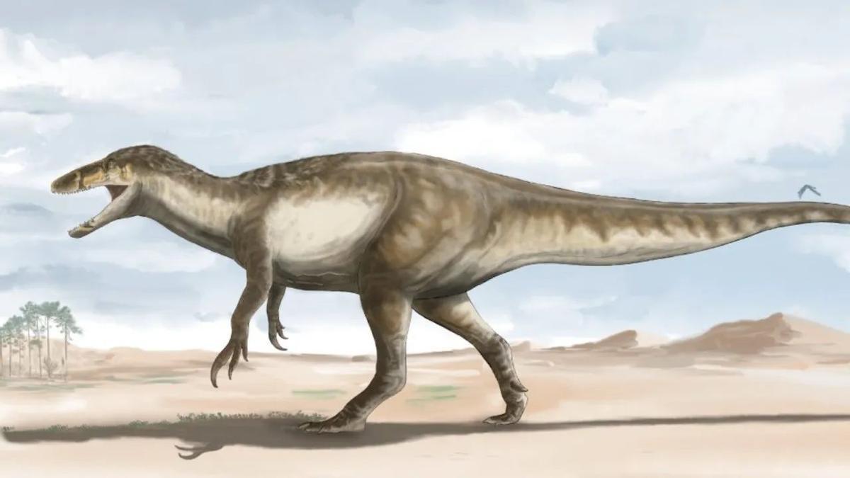 Megaraptor