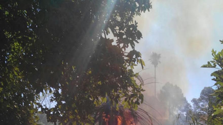 Un incendio forestal en el Menjú de Cieza rodea una casa