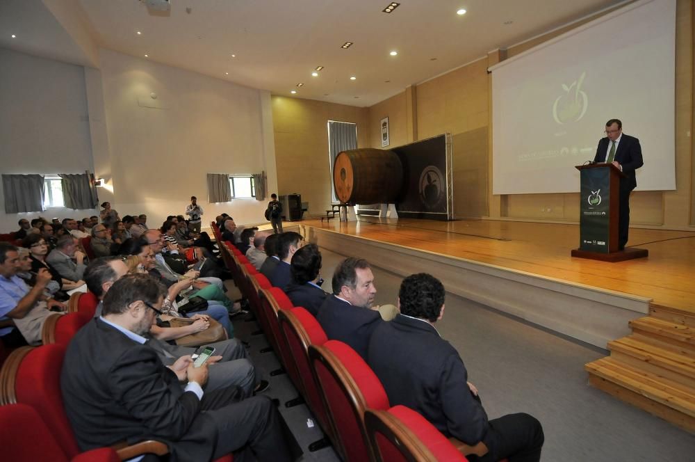 Presentación del VII Salón de la Sidra en el Recito Ferial de Santullano, Mieres