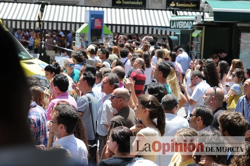 Cae parte del ficus de Santo Domingo en Murcia