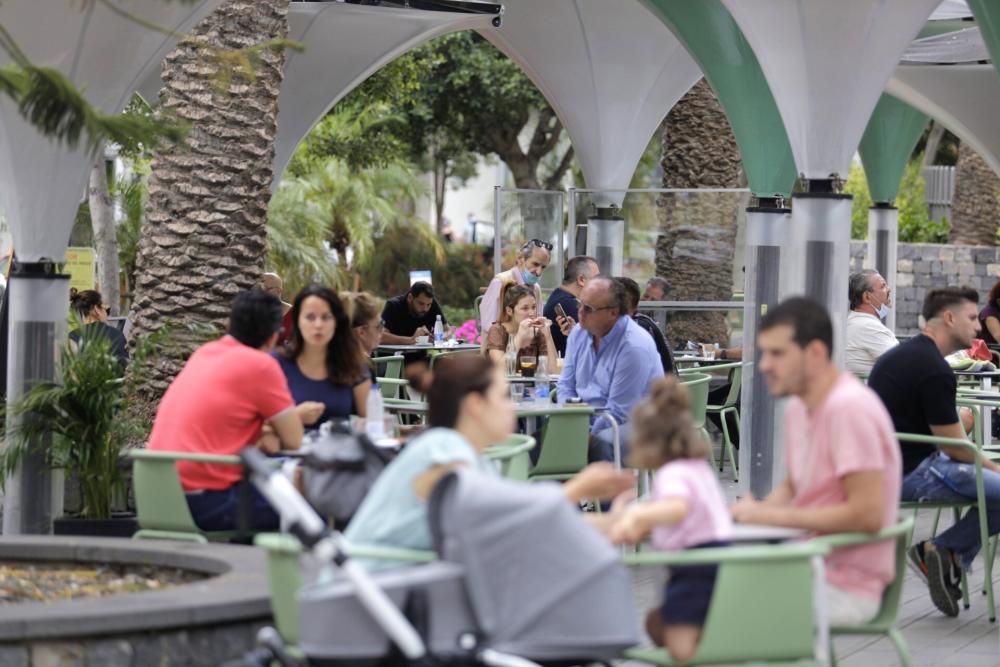 Paseos durante la celebración del Día de Canarias