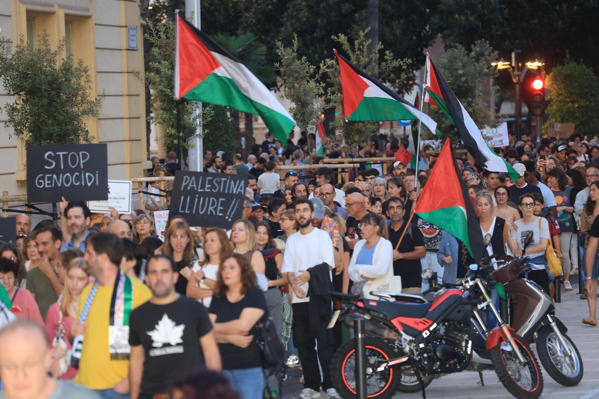 Galería de imágenes: Castellón sale a la calle en defensa de Palestina