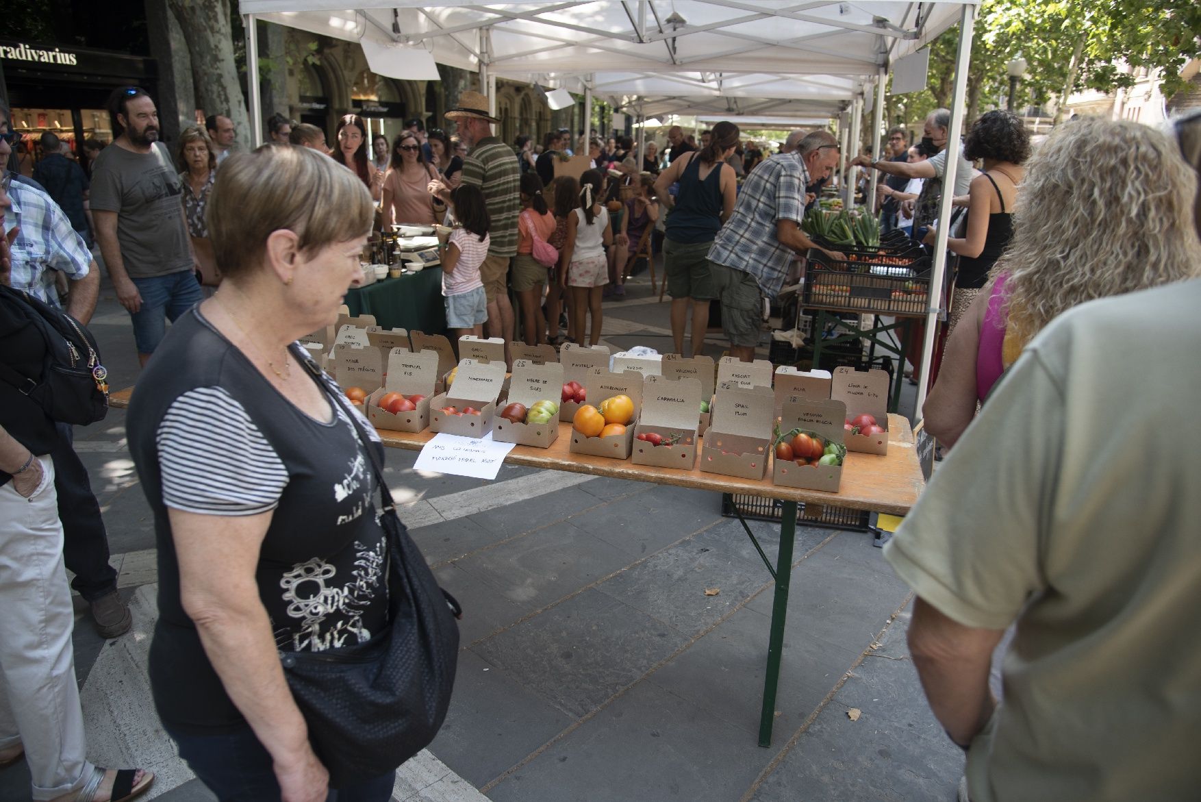 La sisena edició de la Festa del Tomàquet, en imatges