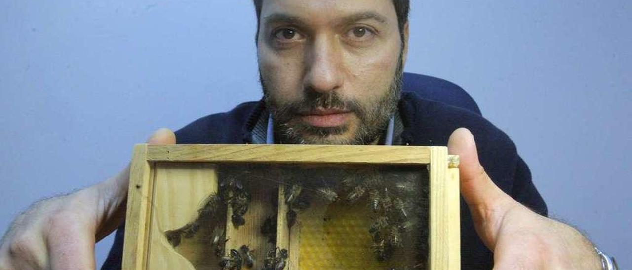 El apiterapeuta José Castro, con algunas de las abejas que utiliza en su clínica. // Xoán Álvarez