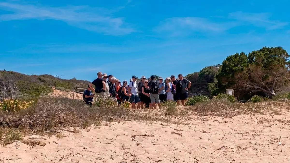 Zahlreiche geführte Urlaubergruppen wie diese wurden zuletzt am Naturstrand Es Carbó gesehen.