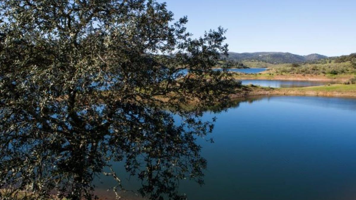 Así es la piscina natural más escondida de Sevilla, perfecta para visitar en familia