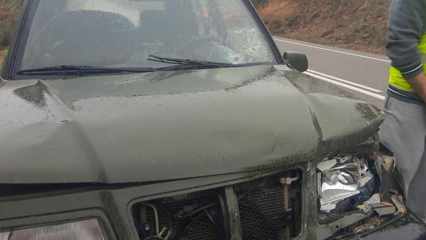 Vehículo con daños en la luna y la carrocería tras un accidente con un ciervo.