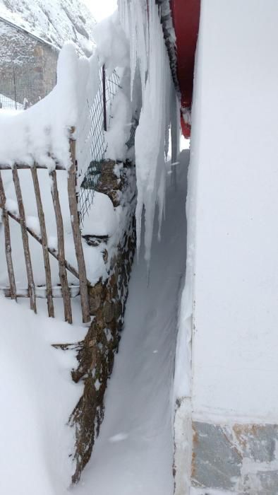 El temporal cubre de nieve el Valle de Lago, en Somiedo