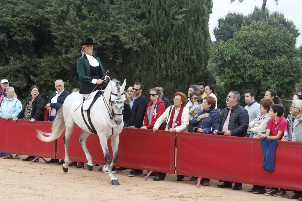 El caballo y su oficios en el Alcázar