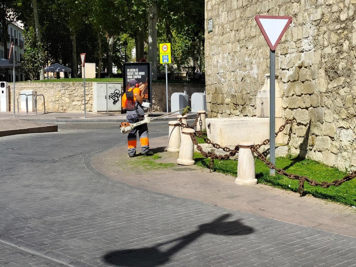 Un operario municipal trabaja en una zona verde del casco histórico de Lucena.