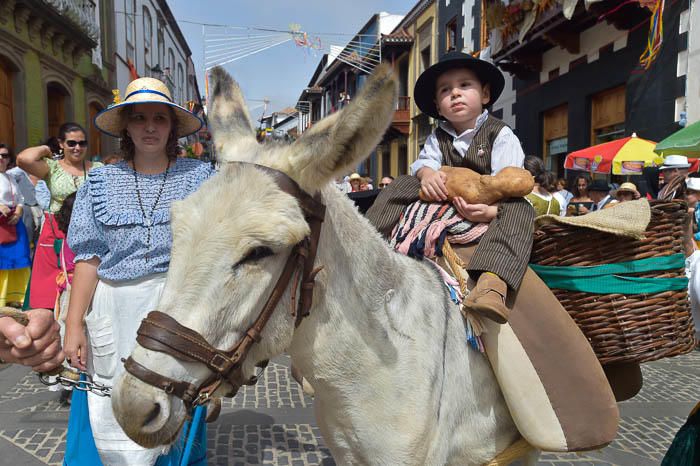 Carretas y grupos en la romería del Pino