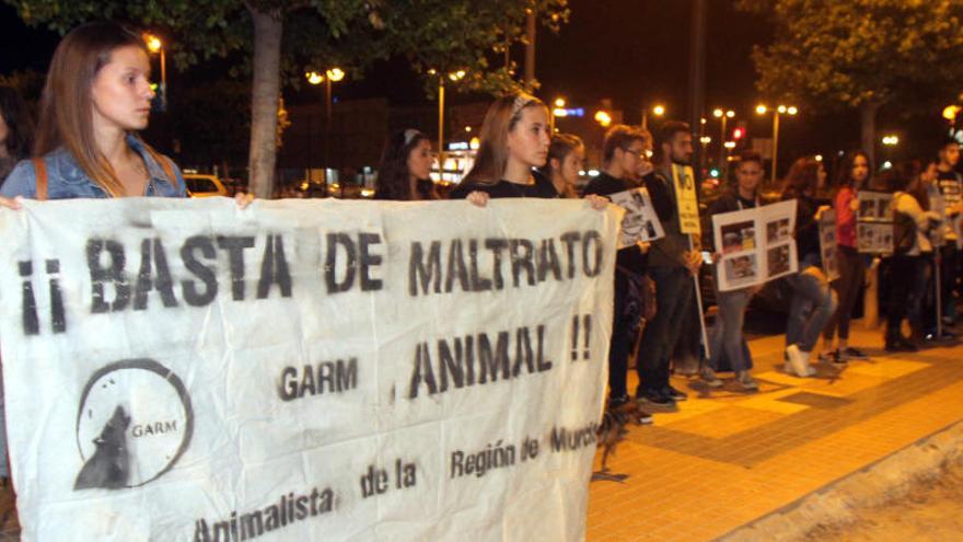 Los activistas animalistas, durante la protesta.