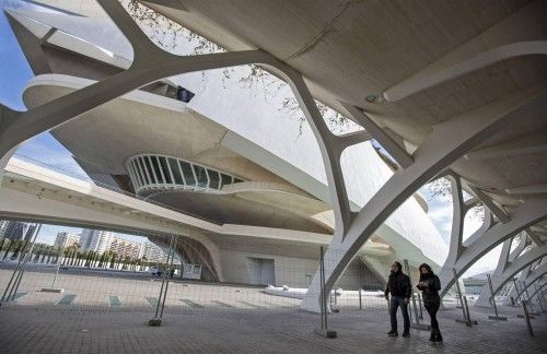 Cae parte de la fachada del Palau de les Arts