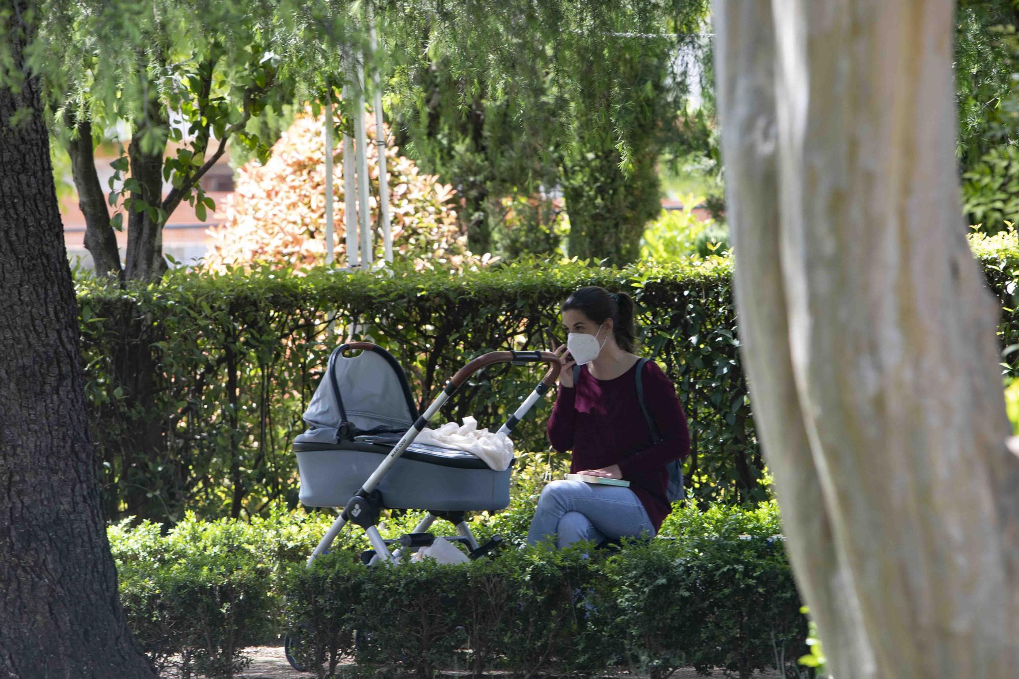 Lucha biológica en "Los Jardines del Palasiet" de Xàtiva