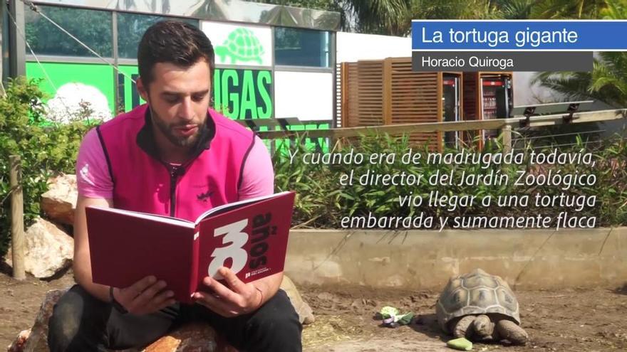 Día del Libro: "El cuento de la tortuga gigante" de Horacio Quiroga