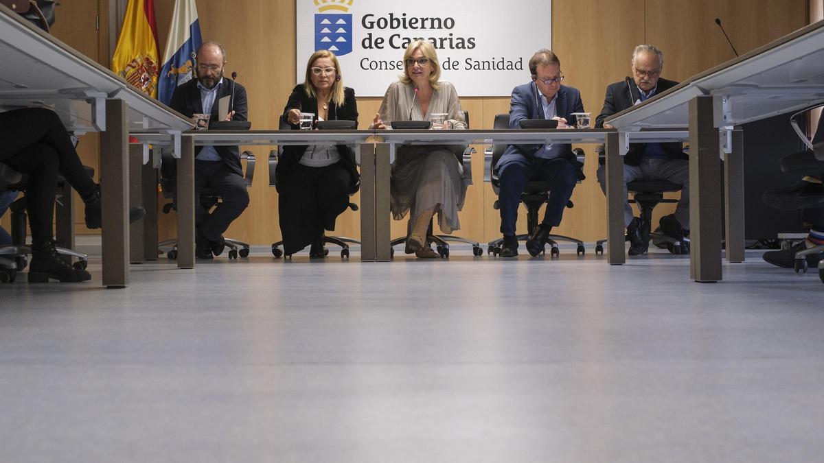 De izquierda a derecha: el gerente del Hospital Insular, José Blanco, la directora de Programas Asistenciales, Antonia María Pérez, la consejera de Sanidad, Esther Monzón, el gerente del Hospital Doctor Negrín, Miguel Ángel Ponce, y el gerente de Atención Primaria en Gran Canaria, Carlos Jorge.