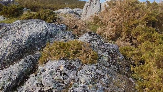 Túmulos dos Seixos Brancos / A Lagoa (Nigoi). | G,C,