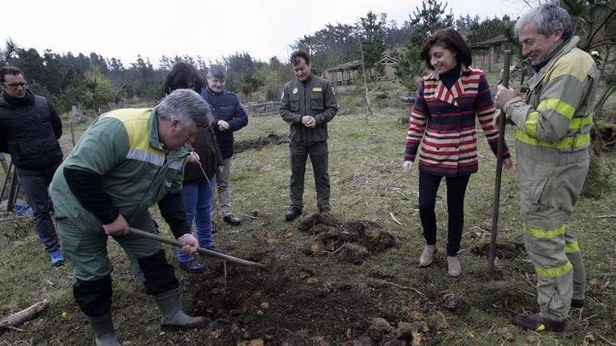 Ángeles Vázquez, a la derecha, en el monte de A Braxe // Xunta de Galicia