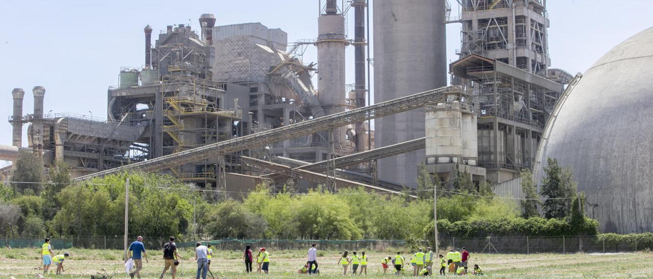 Actividad medioambiental en la cementera