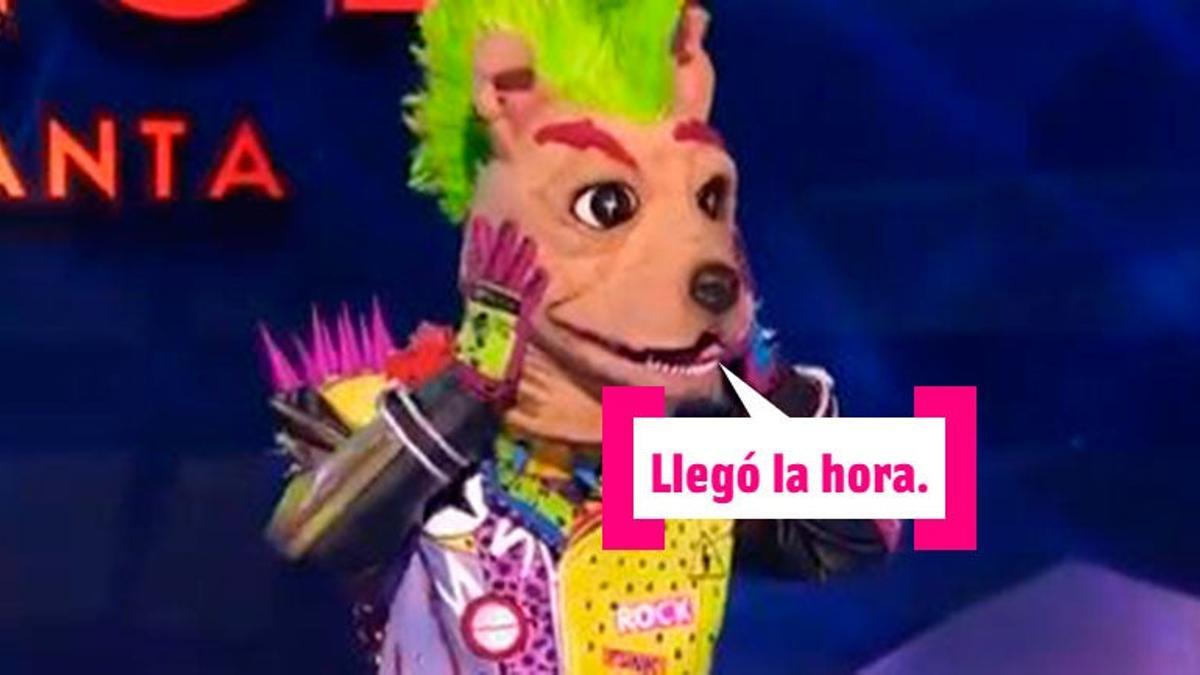 'Mask Singer' desvela dos máscaras: flamenco es modelo y perro... ¡Jugador!