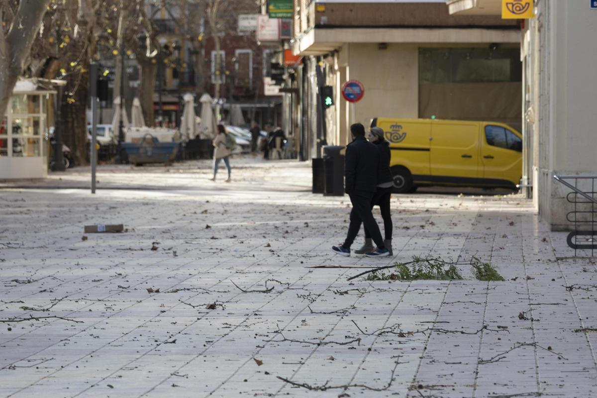 El temporal asociado a la borrasca Kristin ha dejado imágenes de impacto en Xàtiva, las rachas de viento han alcanzado niveles huracanados
